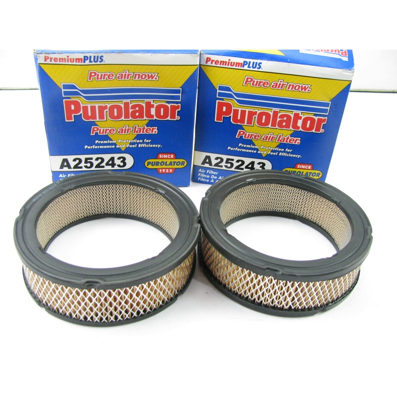 (2) Purolator A25243 Air Filter Replaces CA7726 42359 P530628 LAF1918 AF770