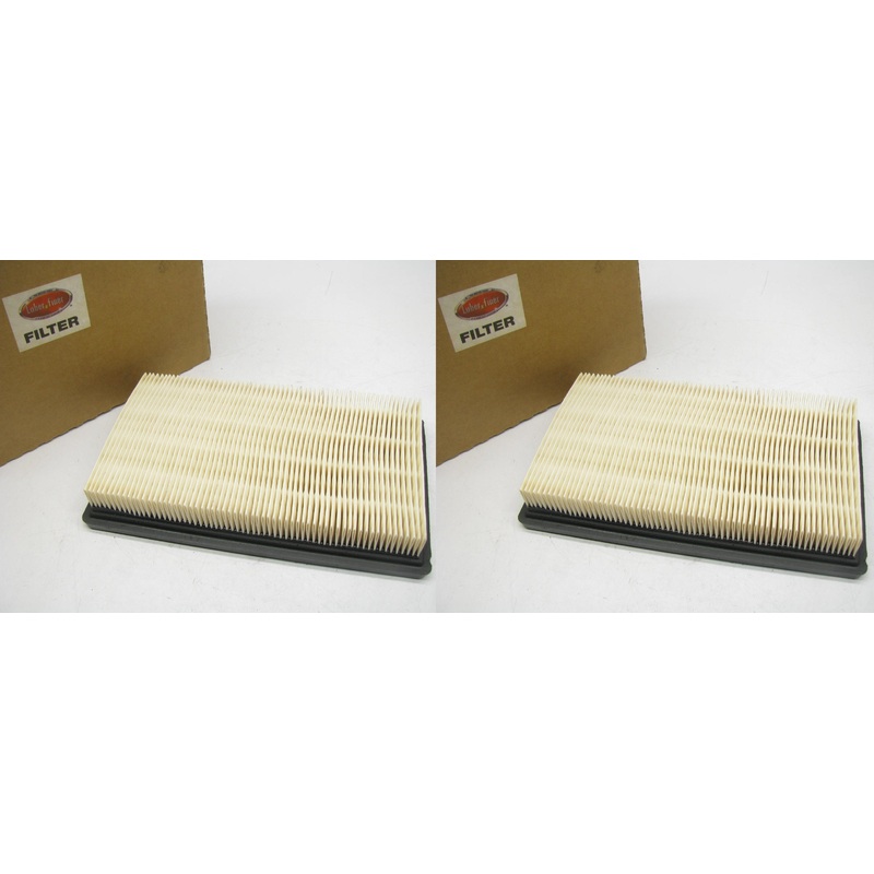 (2) Luberfiner LAF22031 Engine Air Filters For EZ-GO Tuff Truck & Cart - PAIR