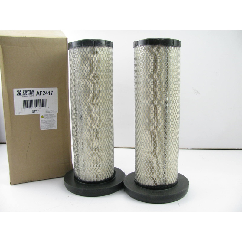 (2) Hastings AF2417 Air Filter Replaces 46923 6923 LAF6923 P613335 RS5329
