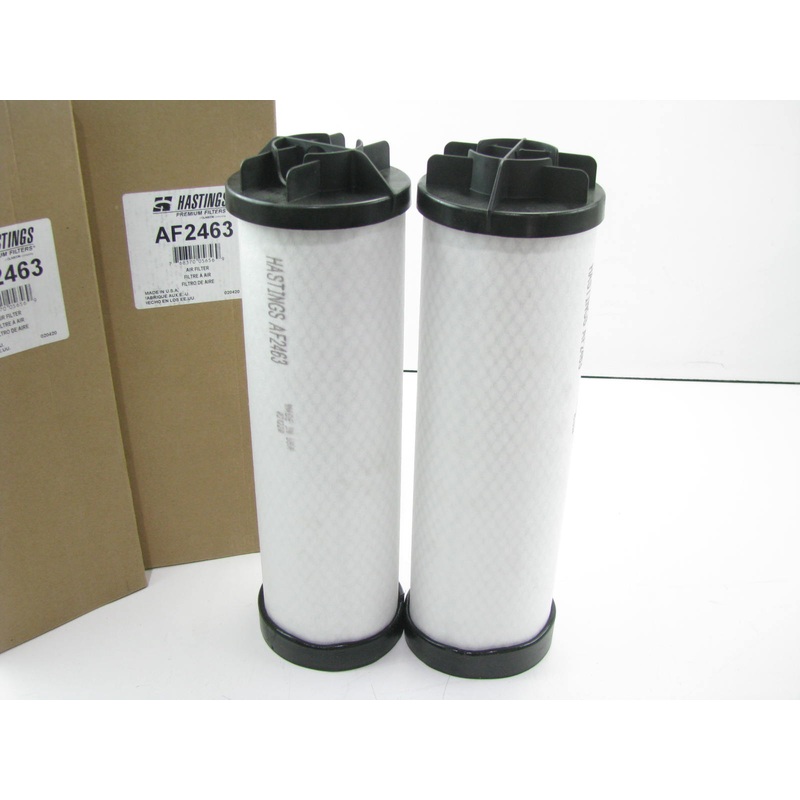 (2) Hastings AF2463 Air Filter Replaces CA10029SY 49782 LAF4602 AF26398 P782107