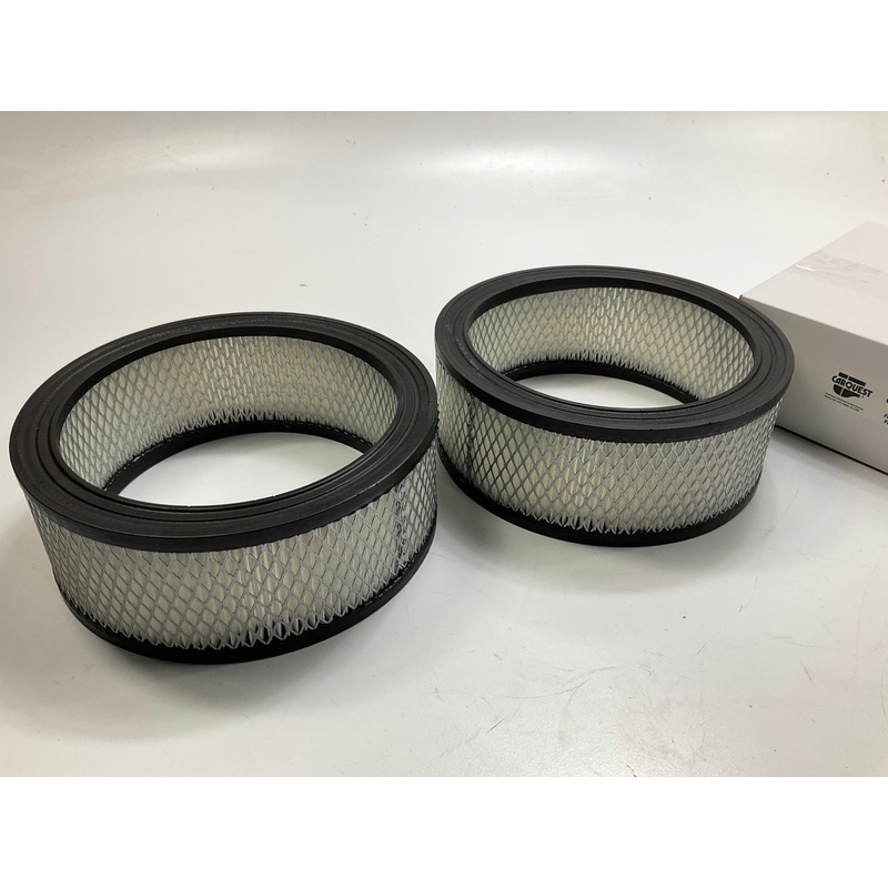 (2) Carquest 87011 Engine Air Filter
