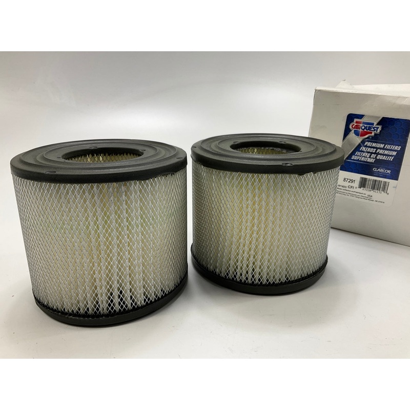 (2) Carquest 87291 Air Filter Replaces CA10983 390930 393957 AF4574 P606290