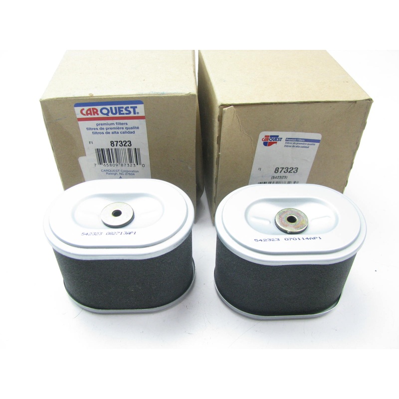 (2) Carquest 87323 Air Filter Replaces 42323 2323 LAF22025 AF2434 AF25472 PA4820