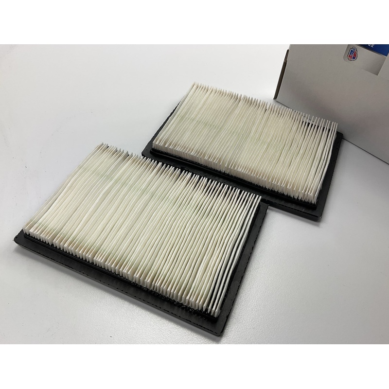 (2) Carquest 87360 Air Filter - Replaces Briggs & Stratton 397795, Wix 42360