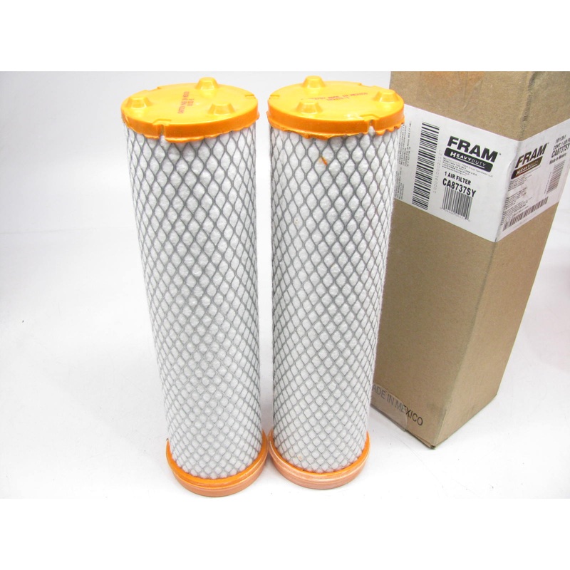 (2) Fram CA8737SY Air Filters 1106331 P829333 AF25485