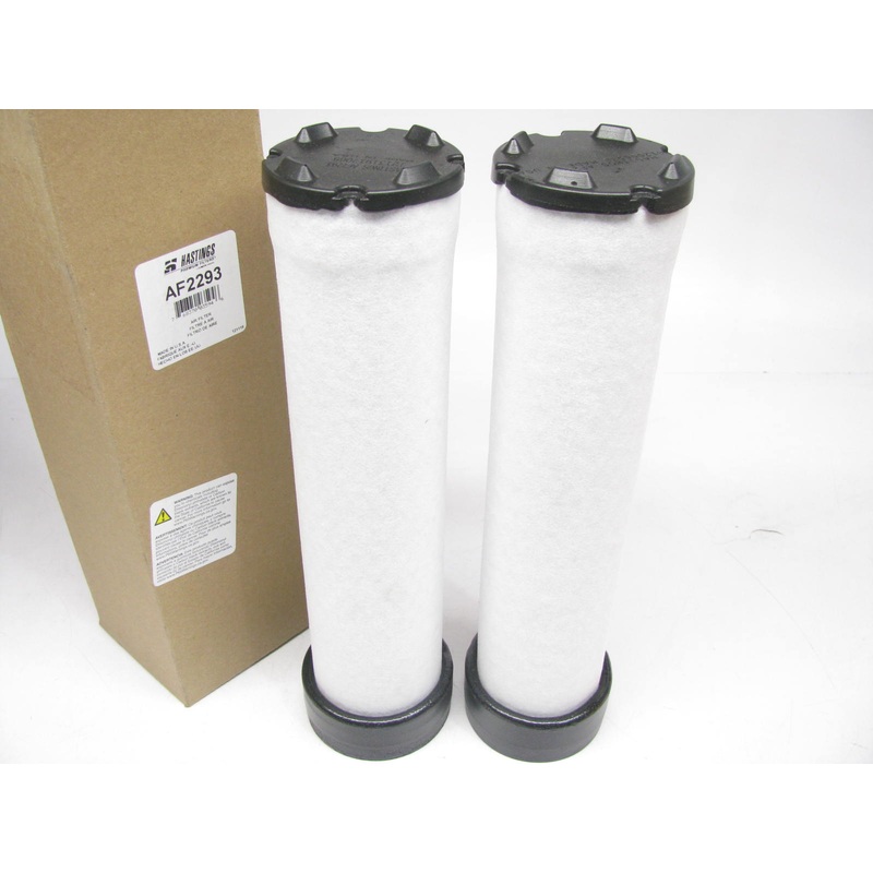 (2) Hastings AF2293 Air Filter Replaces 46672 A65973 6672 AF25556 LAF9332