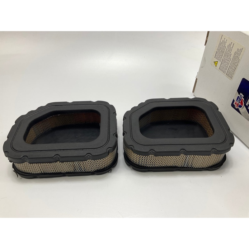 (2) Carquest 83303 Air Filter Replaces Kohler 3208303S, Wix 49303